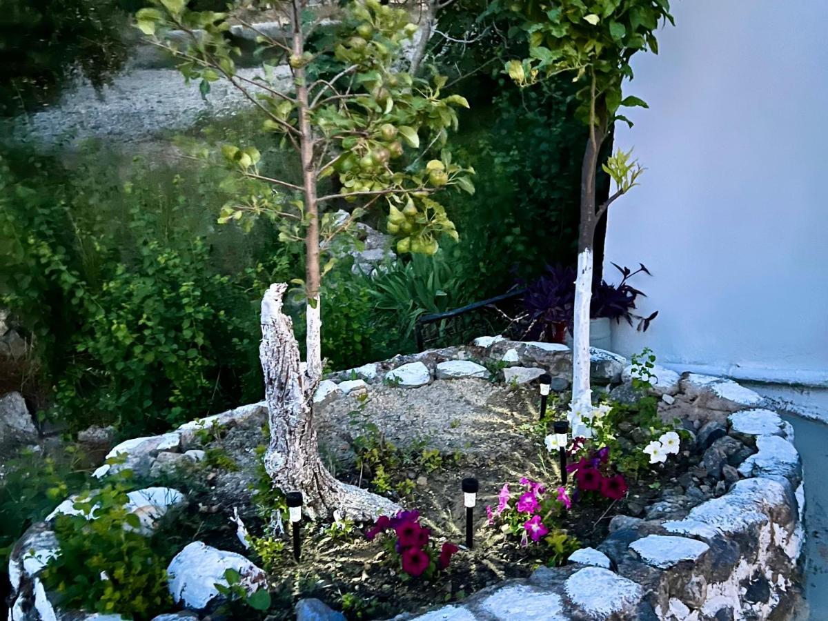 Greek House Tatiana Villa İstanköy Dış mekan fotoğraf